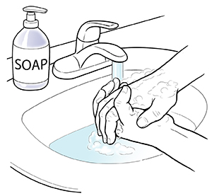 Hands washing with soap in sink.